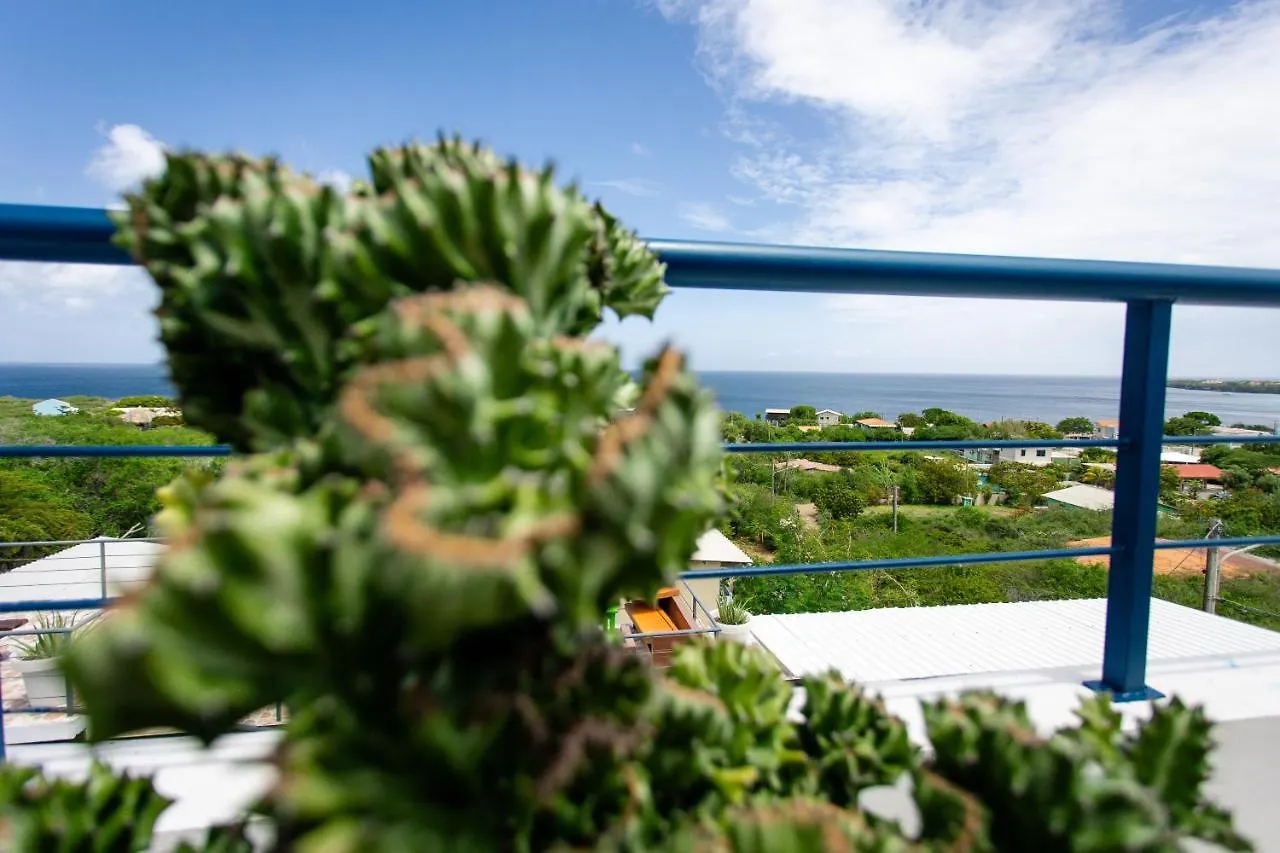 Westpunt Beach Apartments Виллемстад 0*,  Кюрасао